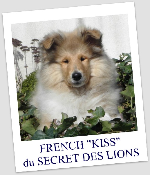 French Kiss du secret des Lions